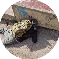 384x384