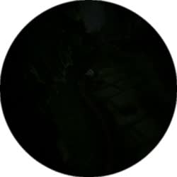 384x384