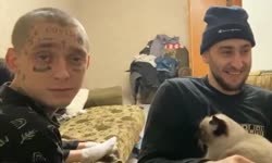 500x300