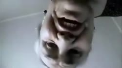 640x360