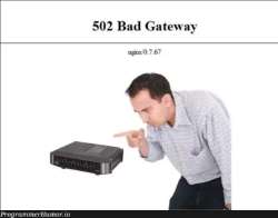 625x490