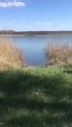 360x626