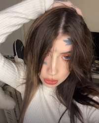 533x662