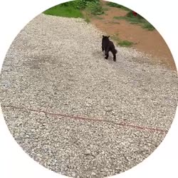 400x400