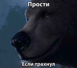 498x440