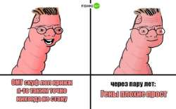 800x498