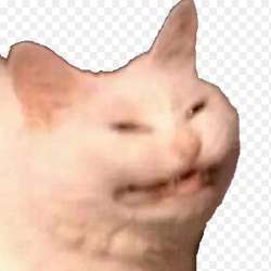 399x399