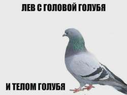929x698