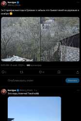 524x780