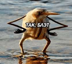 558x498