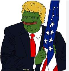 446x460