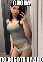 887x1280