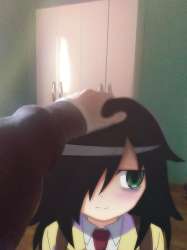 736x981