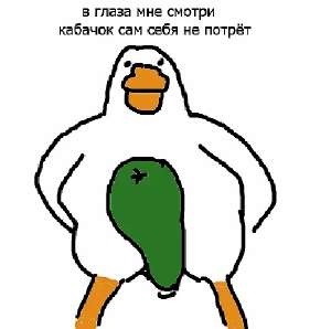 512x510