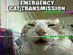 466x350