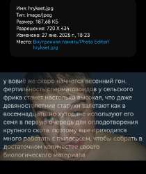 720x856