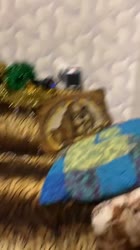 720x1280