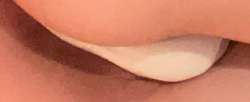 568x233