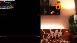 1297x730
