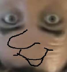 252x270