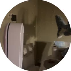 400x400
