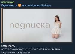 1735x1264