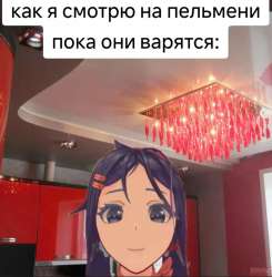 736x748