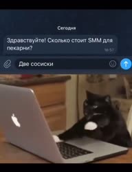 592x768