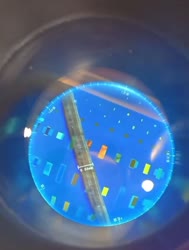 818x1080