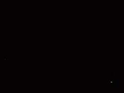 259x194