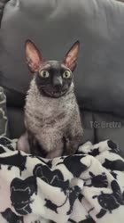 608x1080
