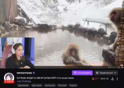 976x696