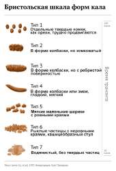 500x734