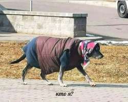 1280x1030