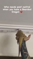 480x854