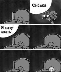619x731