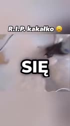 360x640