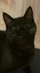 640x1147