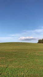 480x854