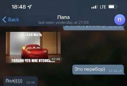 828x566