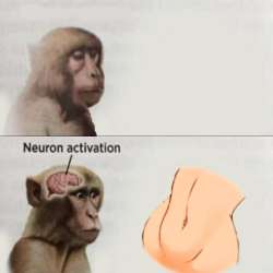 1280x1280