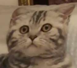 322x283