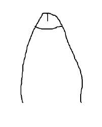 338x420
