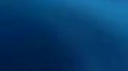 1280x720