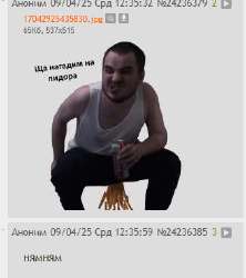 338x379