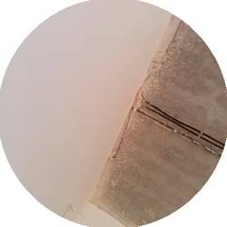 384x384