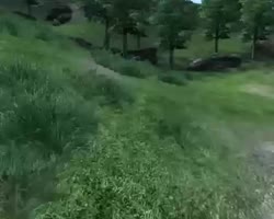 450x360