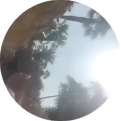 480x480