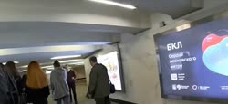 500x230