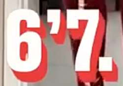 393x274